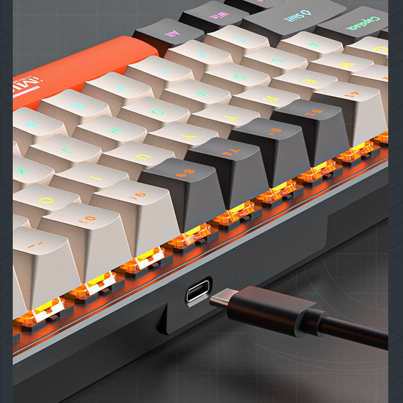 Customised TYPE-C Mechanical Keyboard 68-Key
