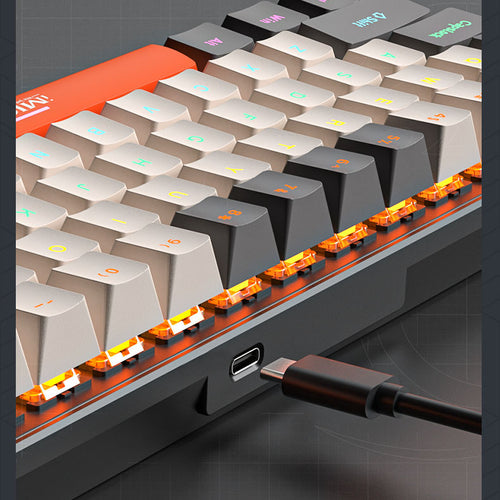 Customised TYPE-C Mechanical Keyboard 68-Key